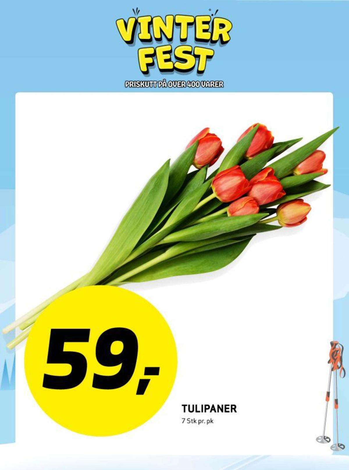 Se Bunnpris kundeavis for uke 10 på Tilbudsuken.no. Se gode tilbud på mange varer, f.eks. bukett ukjent eller andre varer. Les kundeavisen her! Side 23