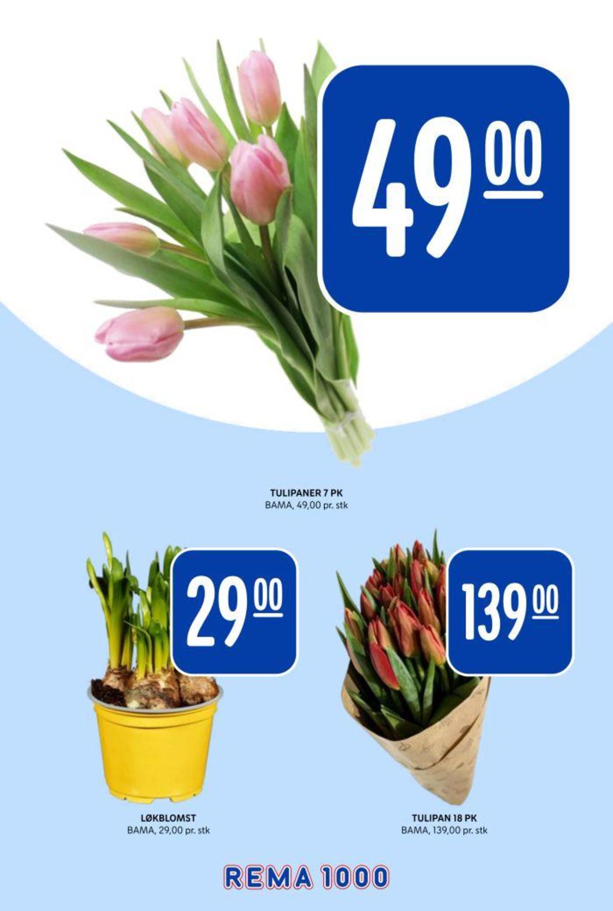 Se Rema 1000 kundeavis for uke 12 på Tilbudsuken.no. Se gode tilbud på mange varer, f.eks. bukett bama eller plante bama. Les kundeavisen her! Side 10