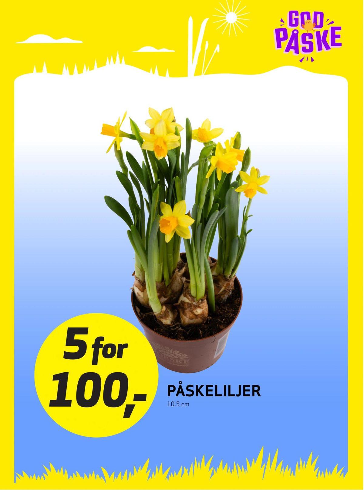 Se Bunnpris kundeavis for uke 13 på Tilbudsuken.no. Se gode tilbud på mange varer, f.eks. plante ukjent eller andre varer. Les kundeavisen her! Side 22