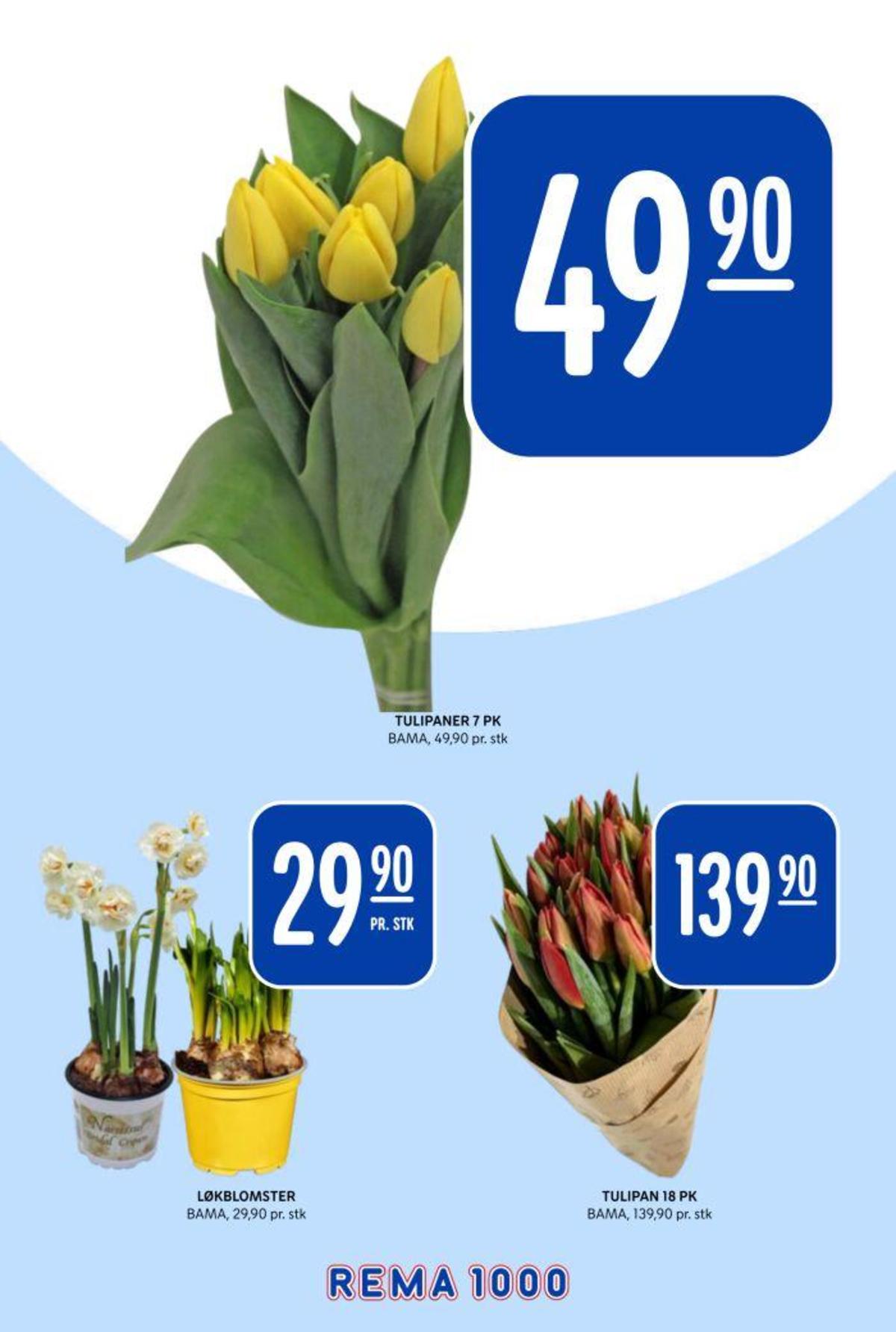 Se Rema 1000 kundeavis for uke 14 på Tilbudsuken.no. Se gode tilbud på mange varer, f.eks. bukett bama eller plante ukjent. Les kundeavisen her! Side 23