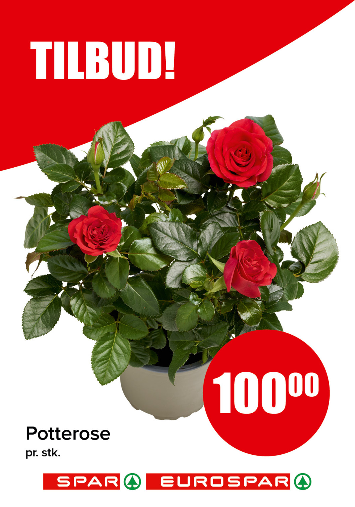 Se Spar - Eurospar kundeavis for uke 17 på Tilbudsuken.no. Se gode tilbud på mange varer, f.eks. plante ukjent eller andre varer. Les kundeavisen her! Side 16