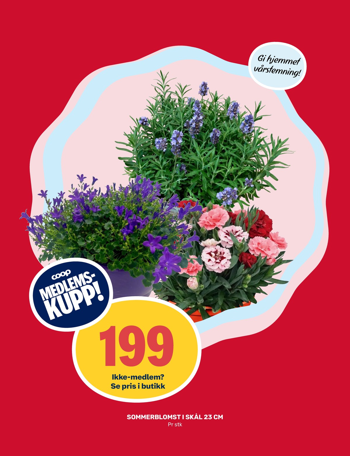 Se Coop Marked kundeavis for uge 19 på Tilbudsuken.no. Se gode tilbud på mange varer. Les kundeavisen her! Side 11