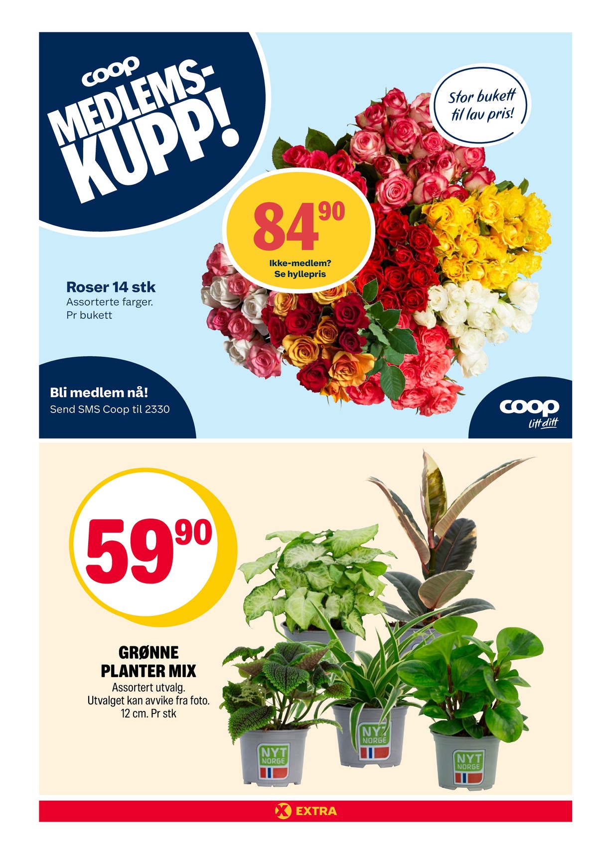 Se Coop Extra kundeavis for uke 2 på Tilbudsuken.no. Se gode tilbud på mange varer, f.eks. bukett ukjent eller plante ukjent. Les kundeavisen her! Side 18