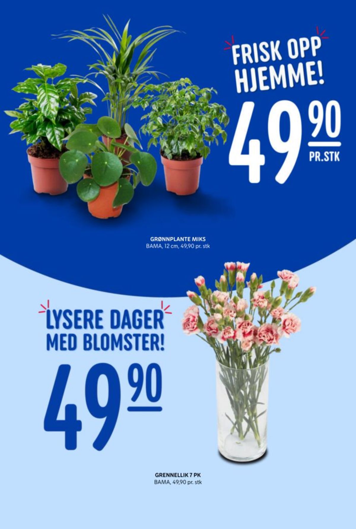 Se Rema 1000 kundeavis for uke 2 på Tilbudsuken.no. Se gode tilbud på mange varer, f.eks. plante bama eller bukett bama. Les kundeavisen her! Side 22