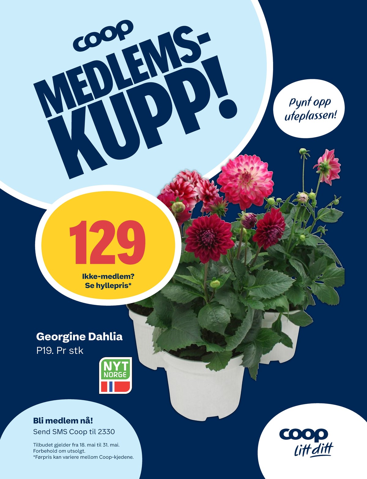 Se Coop Marked kundeavis for uge 21 på Tilbudsuken.no. Se gode tilbud på mange varer. Les kundeavisen her! Side 11