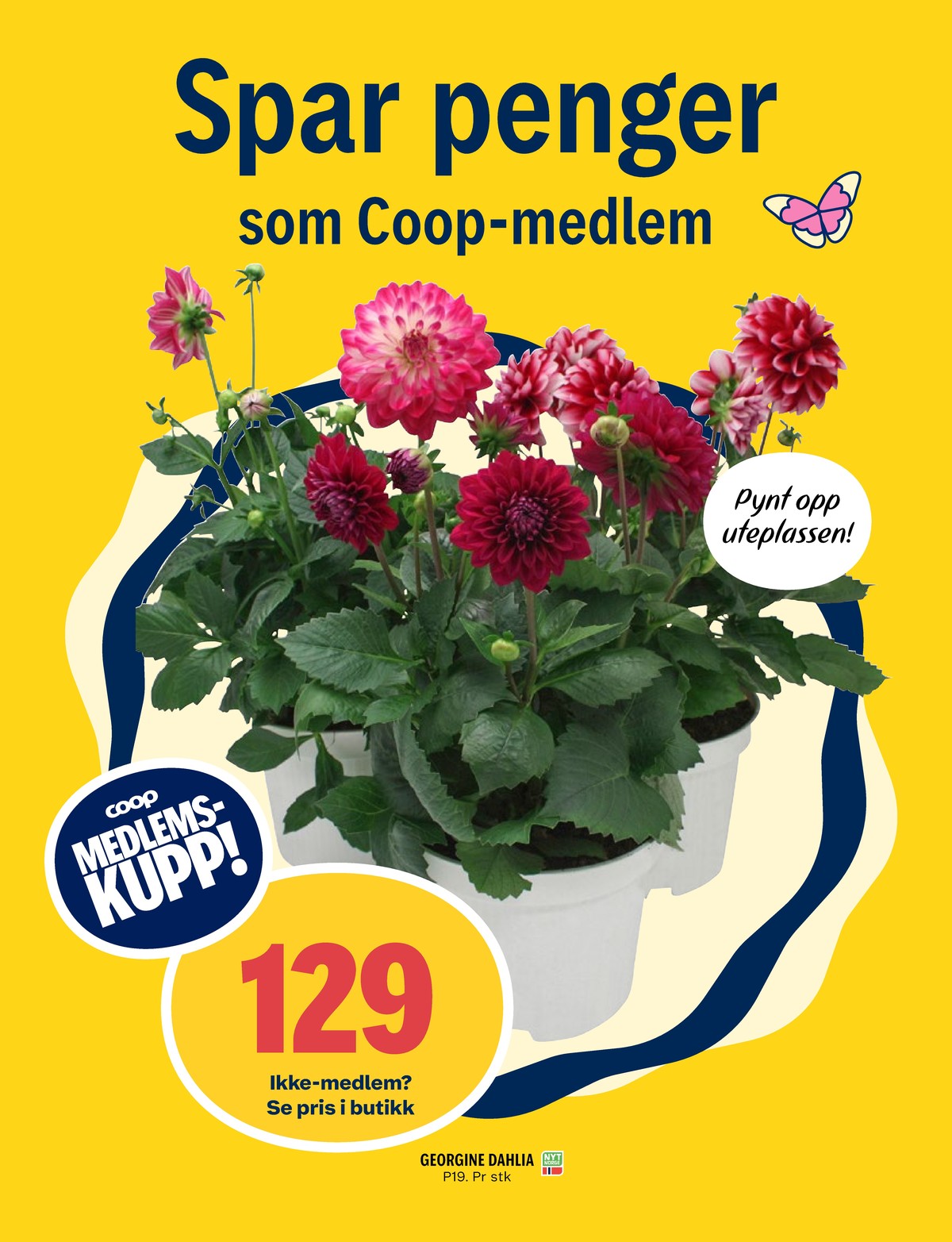 Se Coop Prix kundeavis for uke 21 på Tilbudsuken.no. Se gode tilbud på mange varer, f.eks. plante ukjent eller andre varer. Les kundeavisen her! Side 7