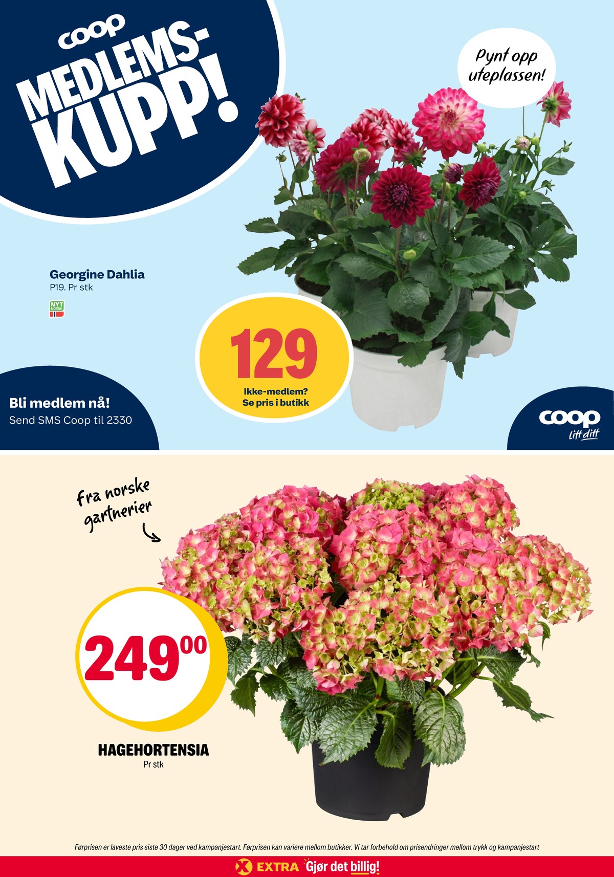 Se Coop Extra kundeavis for uge 22 på Tilbudsuken.no. Se gode tilbud på mange varer. Les kundeavisen her! Side 26