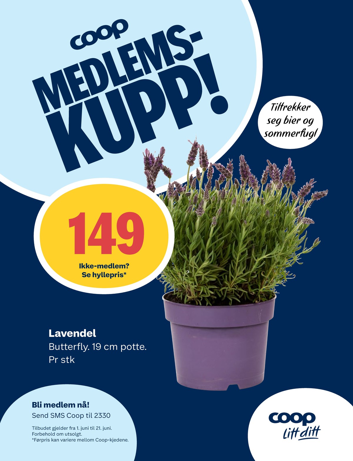 Se Coop Marked kundeavis for uge 23 på Tilbudsuken.no. Se gode tilbud på mange varer. Les kundeavisen her! Side 10