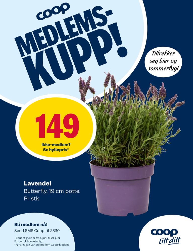 Ukjent, Plante