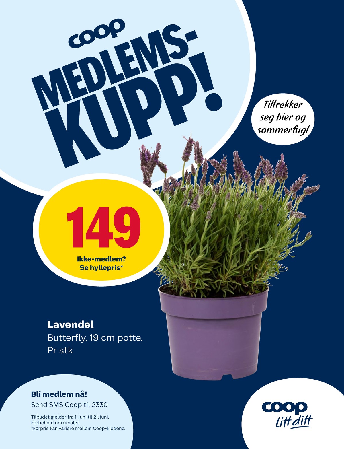 Se Matkroken kundeavis for uke 24 på Tilbudsuken.no. Se gode tilbud på mange varer, f.eks. plante ukjent eller andre varer. Les kundeavisen her! Side 10