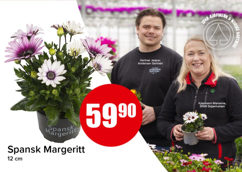 Ukjent, Blomst