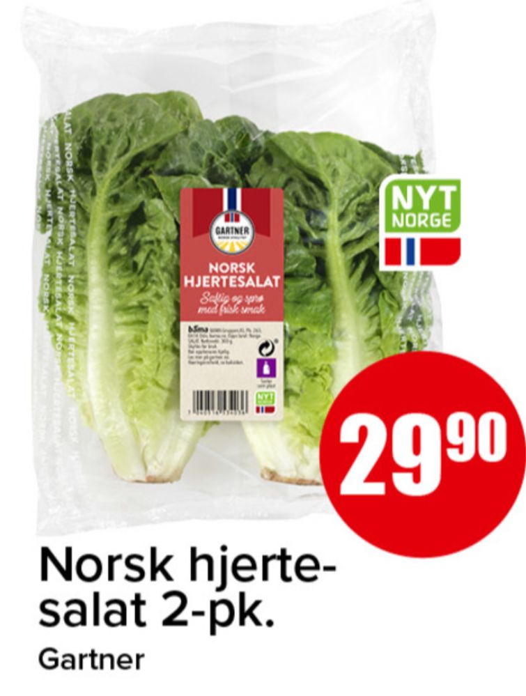 Gartner, Salat