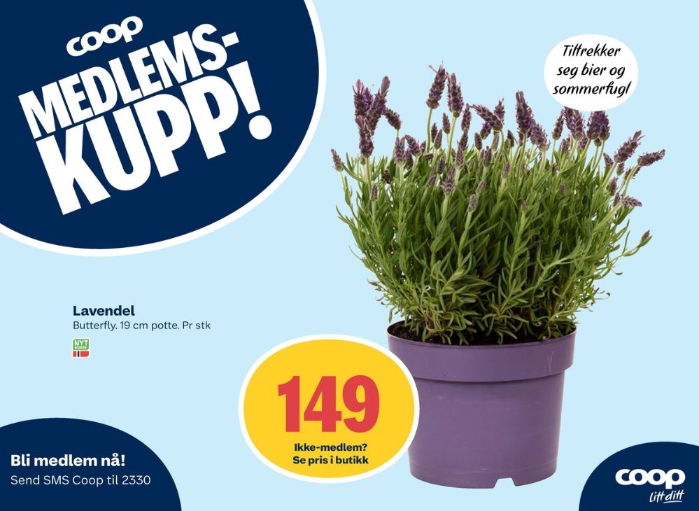 Ukjent, Plante