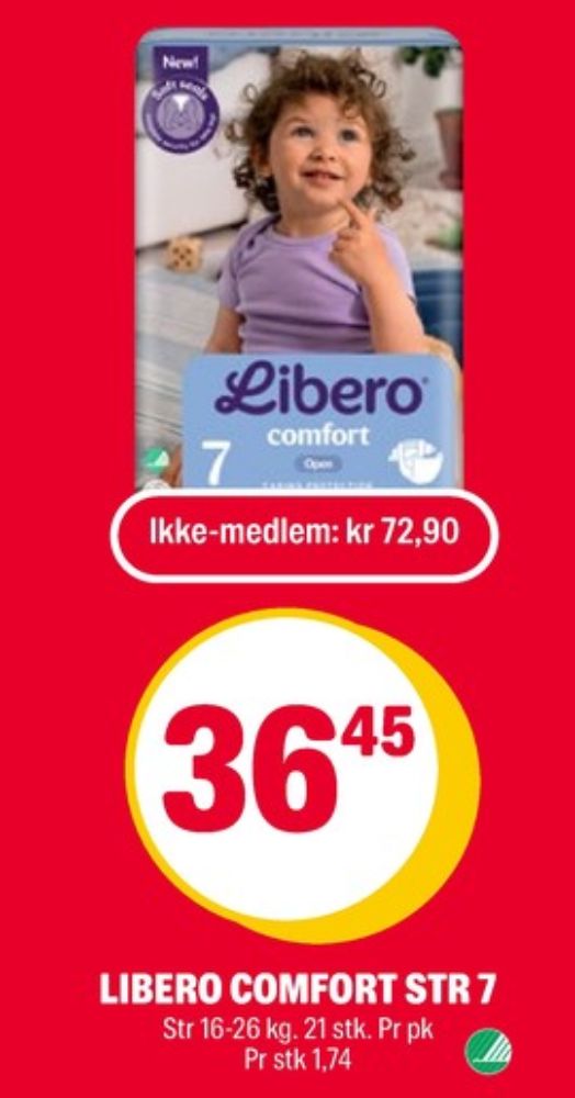 Libero, Bleier