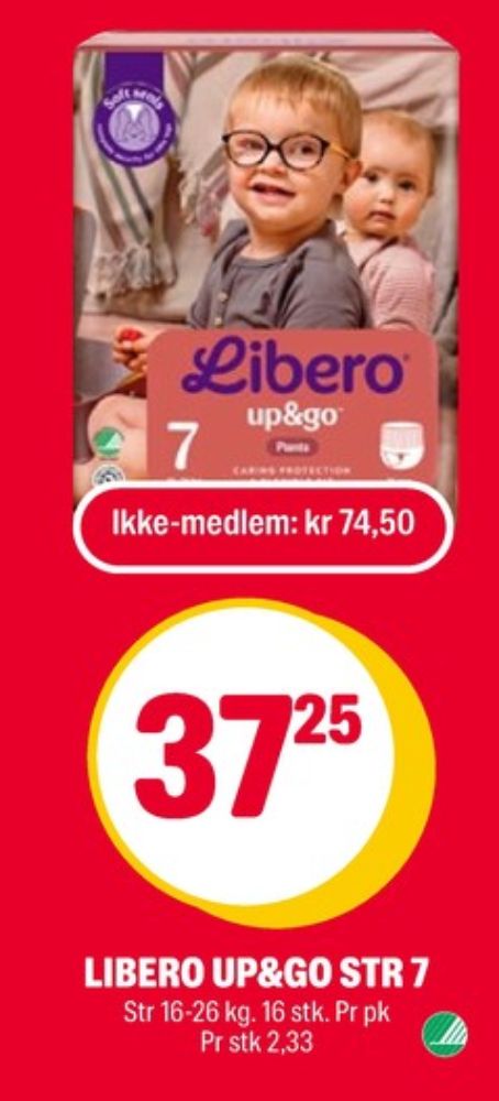 Libero, Bleier