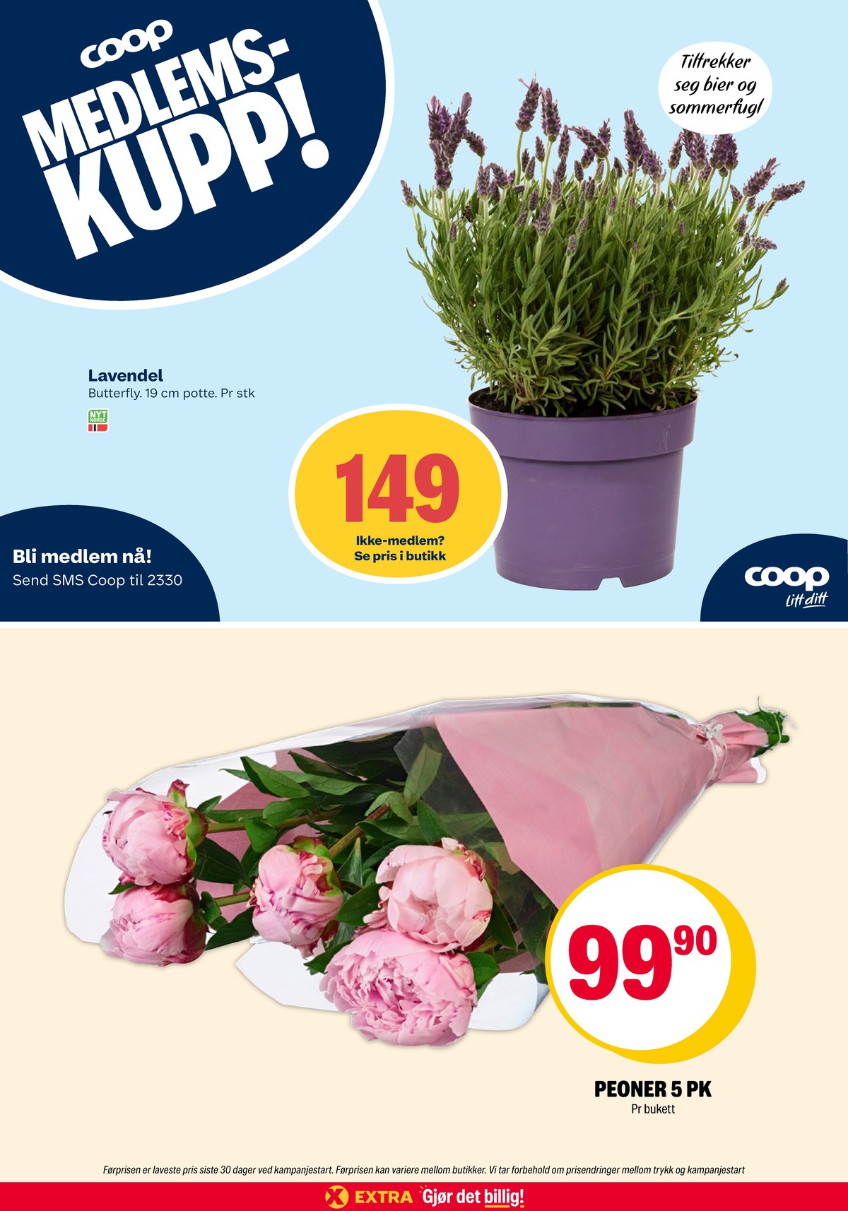 Se Coop Extra kundeavis for uke 24 på Tilbudsuken.no. Se gode tilbud på mange varer, f.eks. plante ukjent eller bukett ukjent. Les kundeavisen her! Side 36
