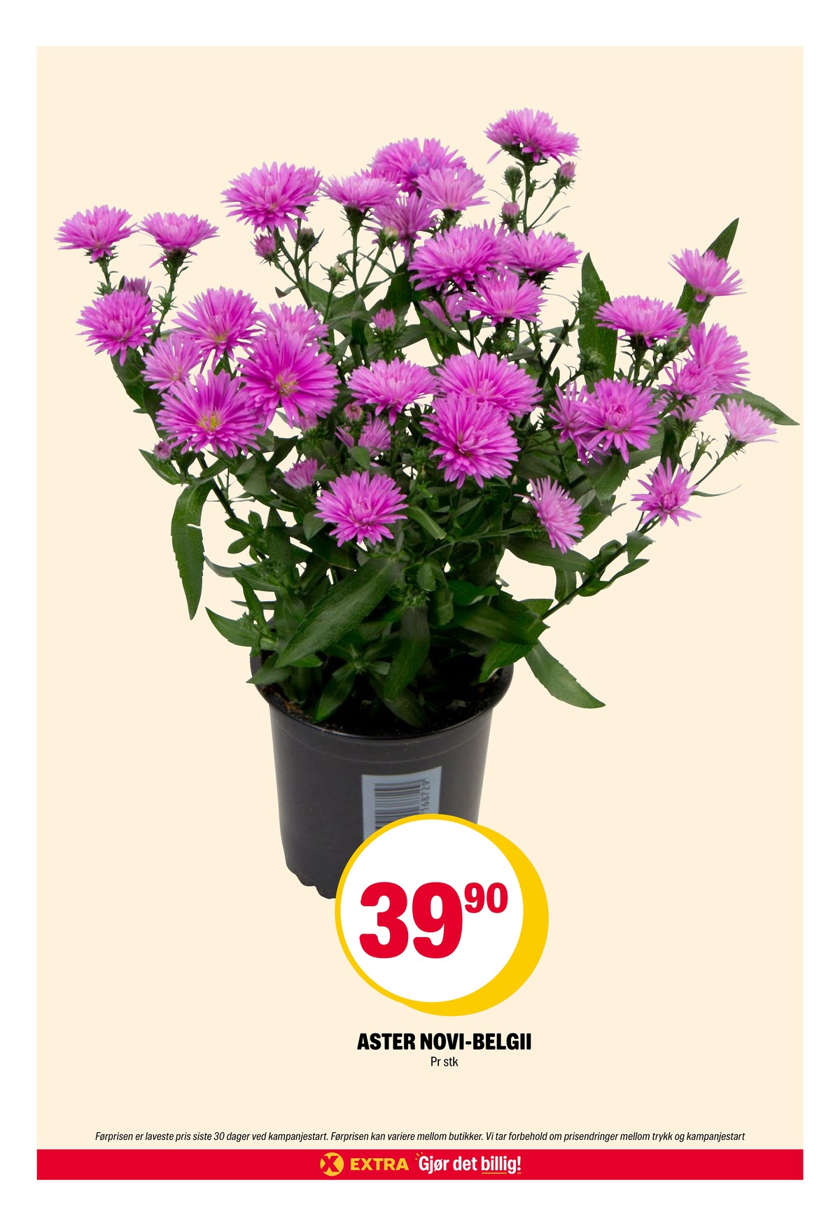 Se Coop Extra kundeavis for uke 26 på Tilbudsuken.no. Se gode tilbud på mange varer, f.eks. plante ukjent eller andre varer. Les kundeavisen her! Side 38