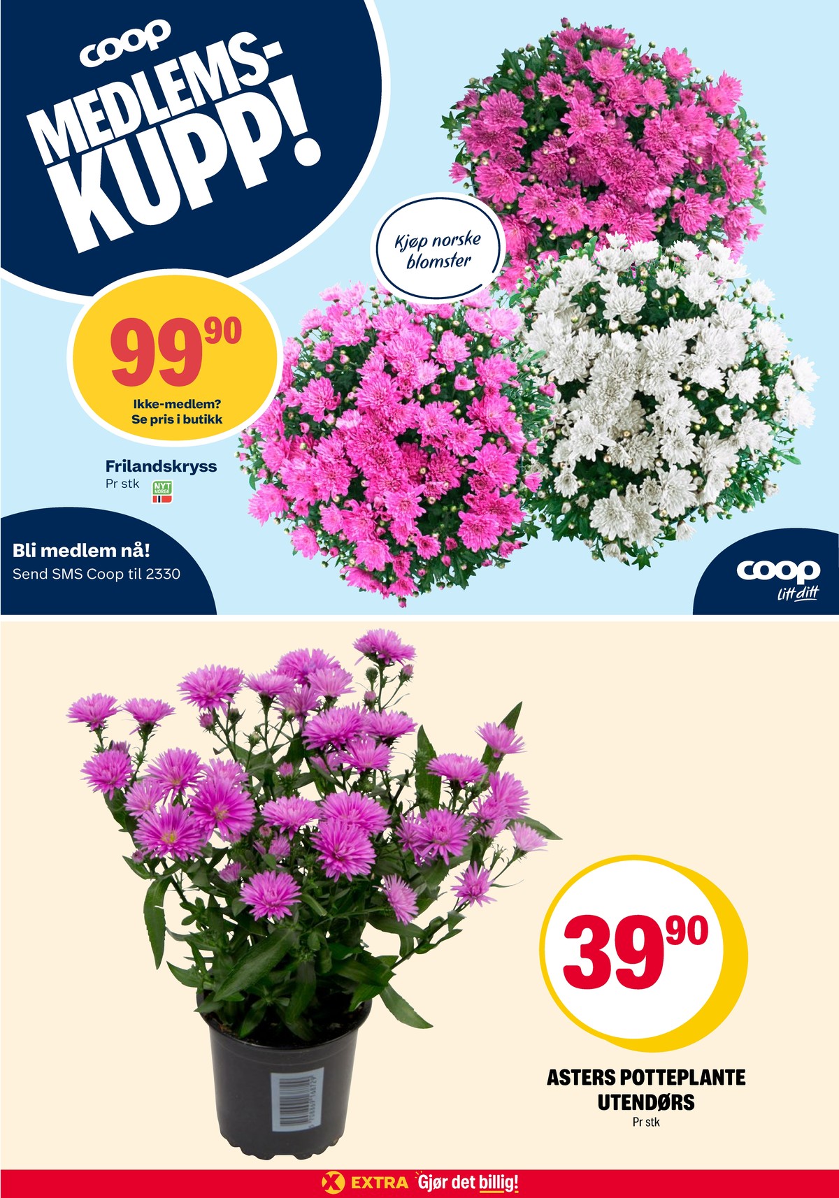 Se Coop Extra kundeavis for uge 26 på Tilbudsuken.no. Se gode tilbud på mange varer. Les kundeavisen her! Side 36