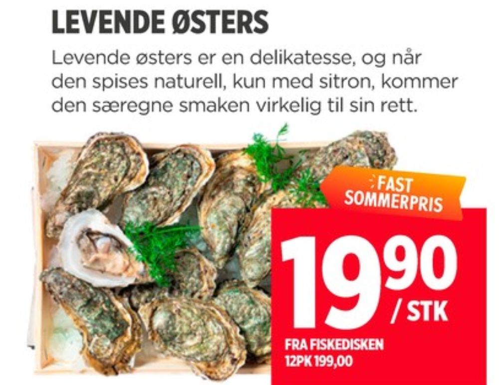 Ukjent, Østers