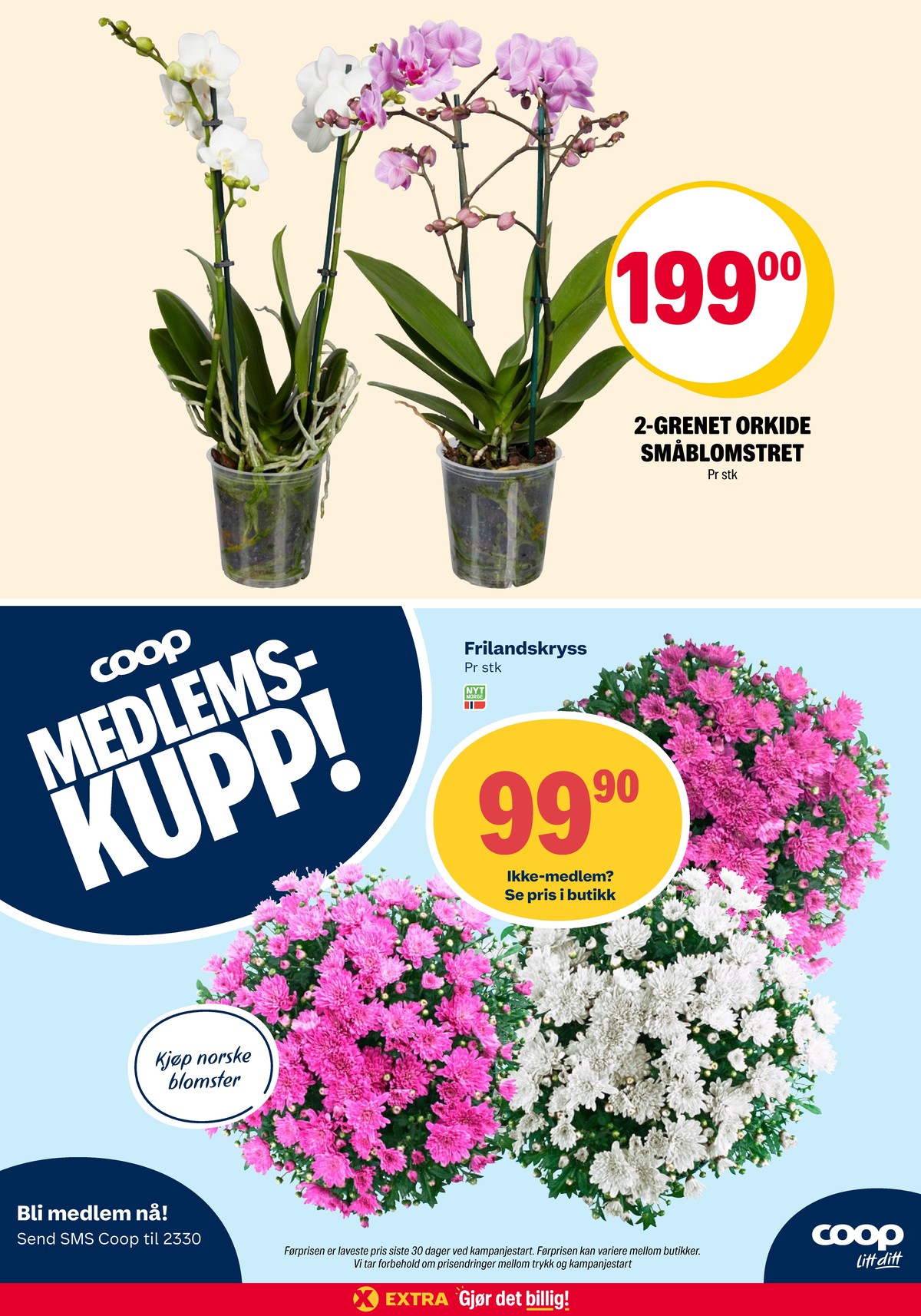 Se Coop Extra kundeavis for uke 30 på Tilbudsuken.no. Se gode tilbud på mange varer, f.eks. plante ukjent eller plante ukjent. Les kundeavisen her! Side 31