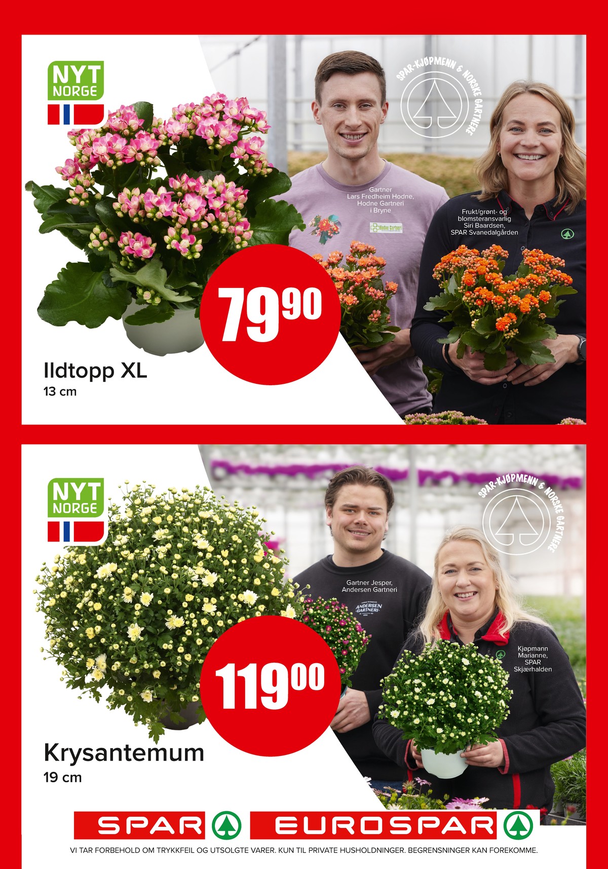 Se Spar - Eurospar kundeavis for uke 31 på Tilbudsuken.no. Se gode tilbud på mange varer, f.eks. plante ukjent eller plante ukjent. Les kundeavisen her! Side 12