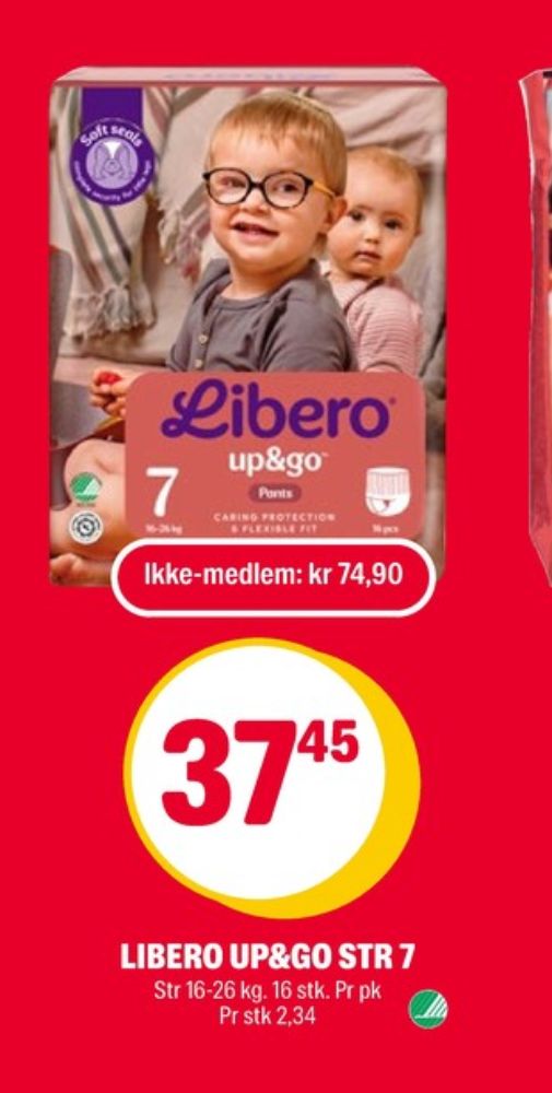 Libero, Bleier