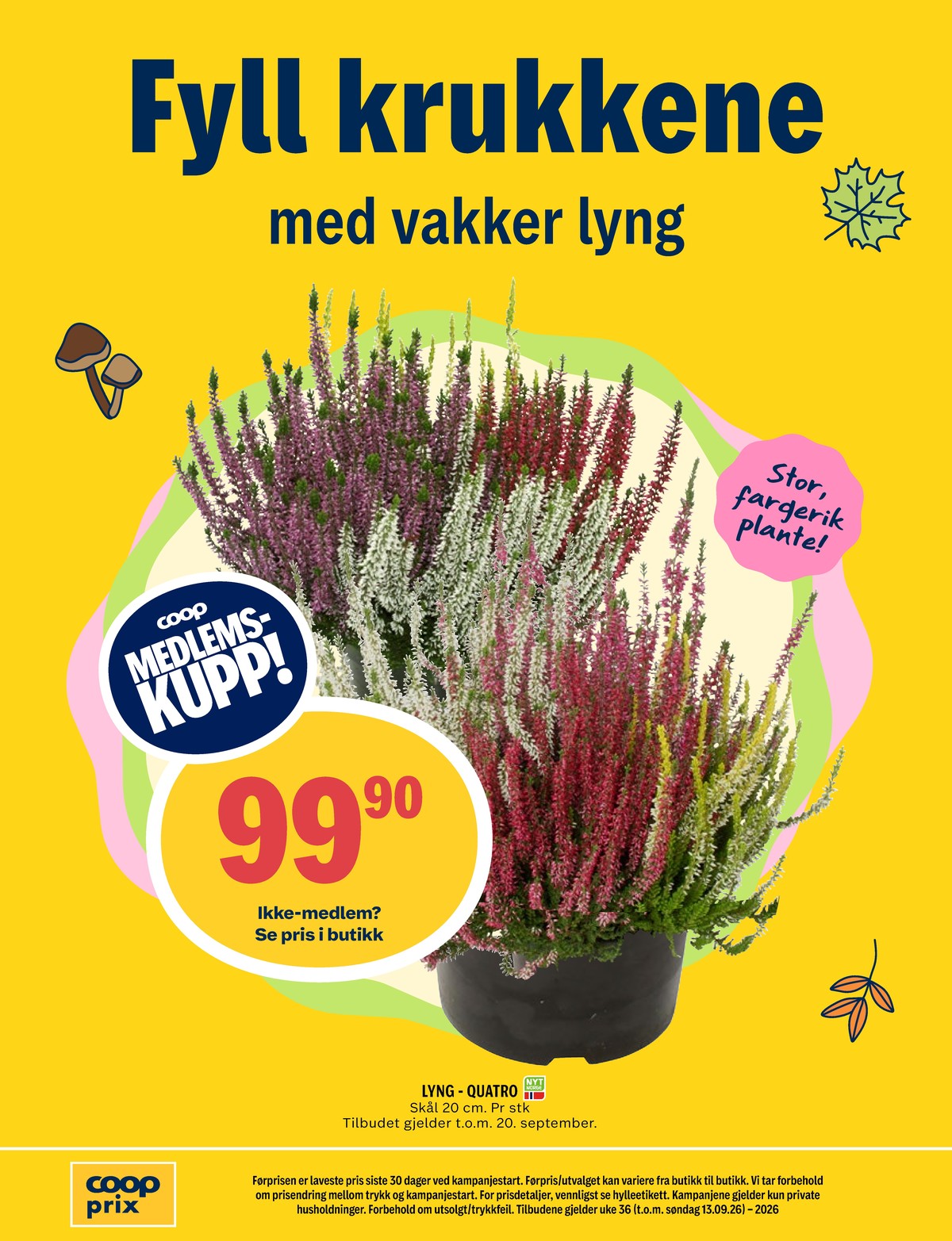 Se Coop Prix kundeavis for uge 35 på Tilbudsuken.no. Se gode tilbud på mange varer. Les kundeavisen her! Side 16
