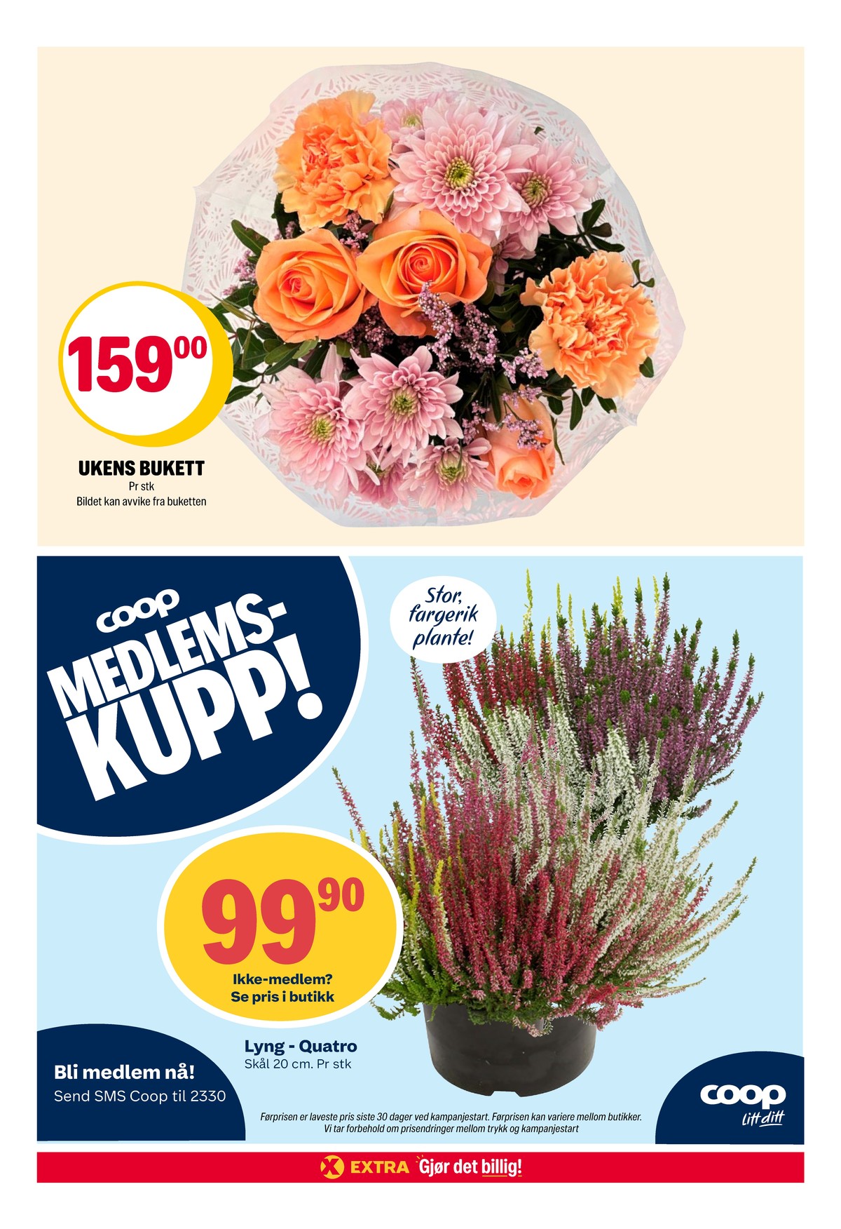 Se Coop Extra kundeavis for uke 36 på Tilbudsuken.no. Se gode tilbud på mange varer, f.eks. bukett ukjent eller plante ukjent. Les kundeavisen her! Side 26