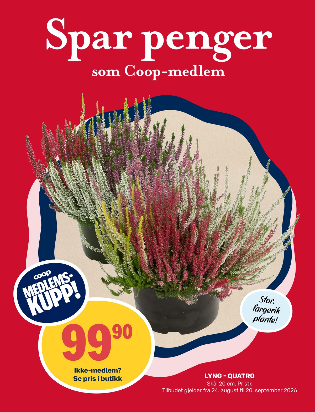 Se Matkroken kundeavis for uke 36 på Tilbudsuken.no. Se gode tilbud på mange varer, f.eks. plante ukjent eller andre varer. Les kundeavisen her! Side 10
