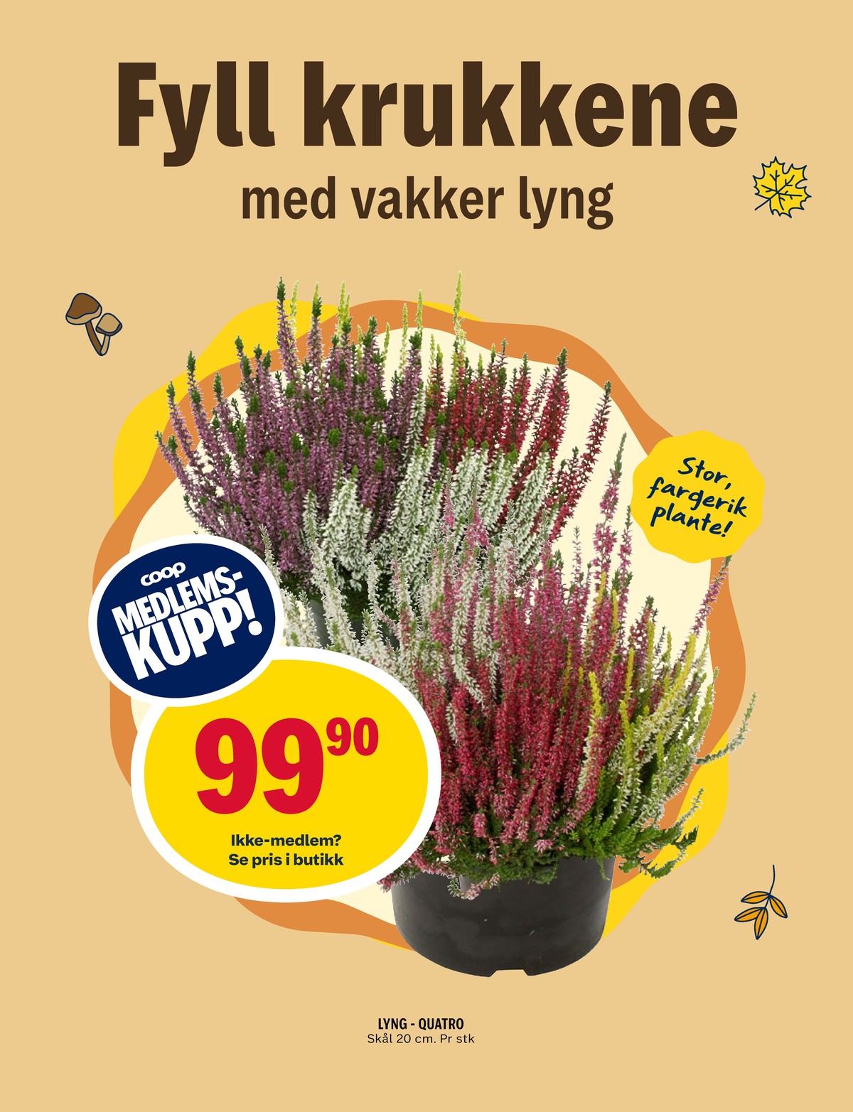 Se Coop Prix kundeavis for uke 38 på Tilbudsuken.no. Se gode tilbud på mange varer, f.eks. plante ukjent eller andre varer. Les kundeavisen her! Side 12