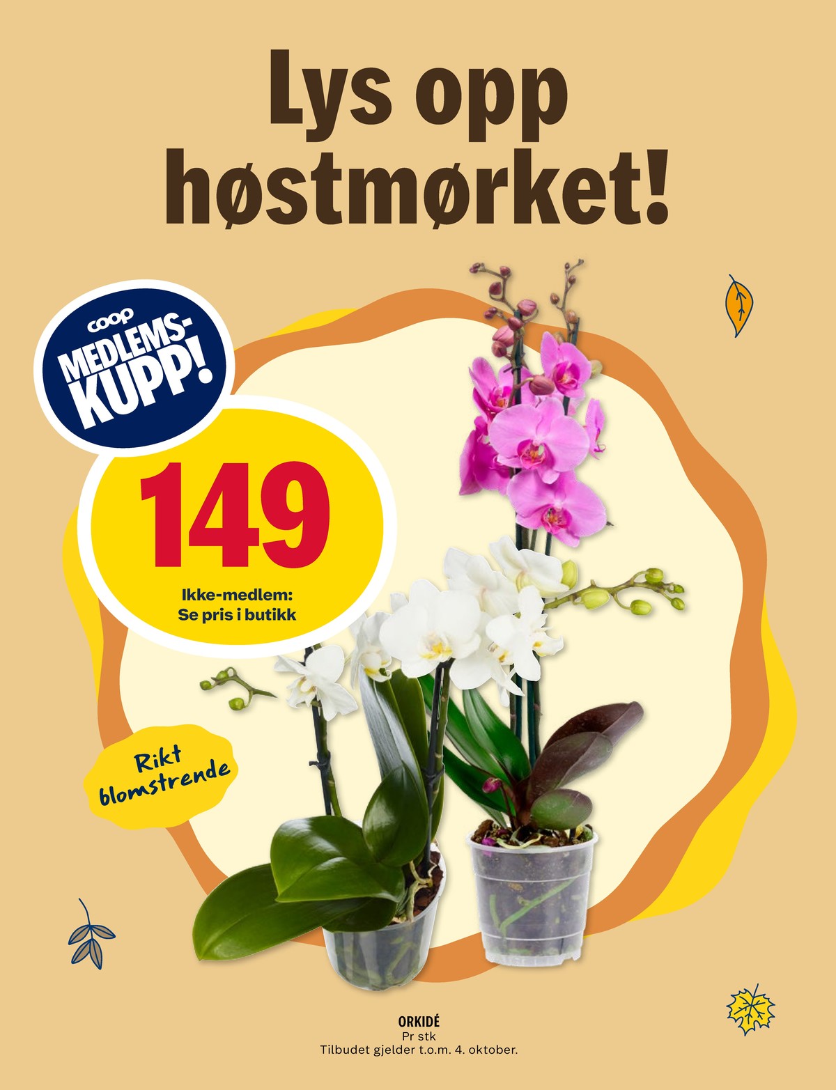 Se Coop Prix kundeavis for uke 38 på Tilbudsuken.no. Se gode tilbud på mange varer, f.eks. plante ukjent eller andre varer. Les kundeavisen her! Side 12