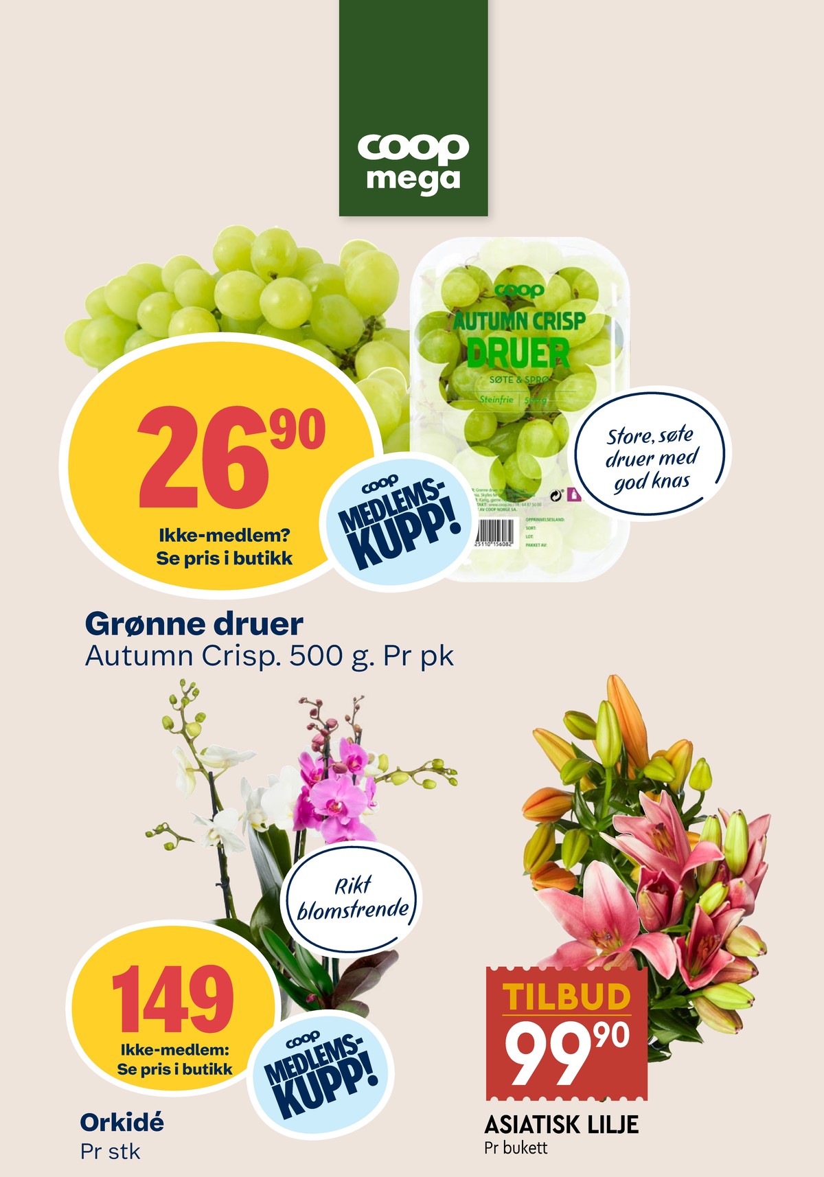 Se Coop Mega kundeavis for uke 39 på Tilbudsuken.no. Se gode tilbud på mange varer, f.eks. druer coop eller plante ukjent. Les kundeavisen her! Side 10