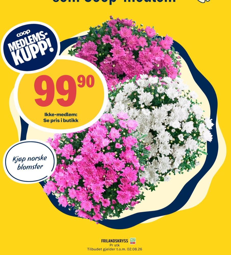 Ukjent, Plante