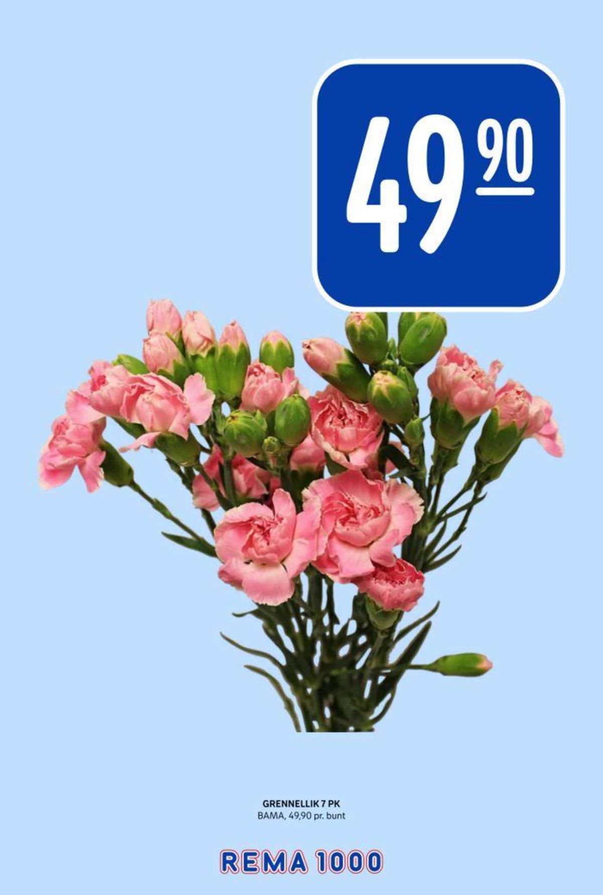 Se Rema 1000 kundeavis for uke 9 på Tilbudsuken.no. Se gode tilbud på mange varer, f.eks. bukett bama eller andre varer. Les kundeavisen her! Side 17