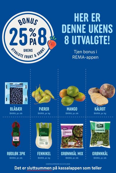 Rema 1000 kundeavis i uke 49 side 12