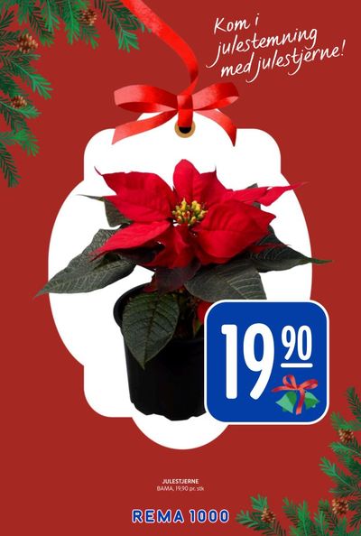Rema 1000 kundeavis i uke 49 side 17