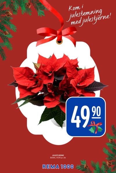 Rema 1000 kundeavis i uke 51 side 13