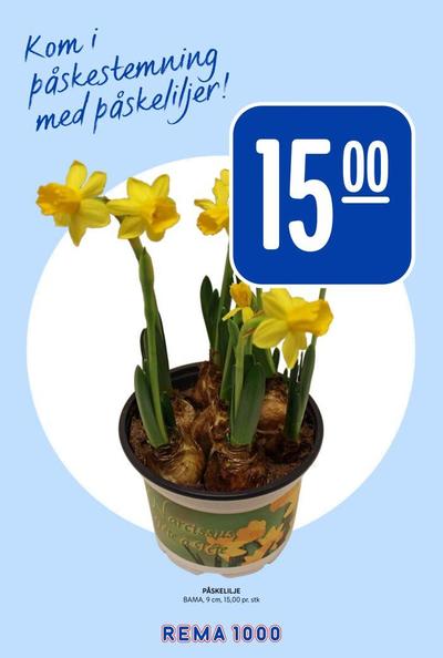 Rema 1000 kundeavis i uke 10 side 12