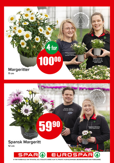 Spar - Eurospar kundeavis i uke 19 side 17