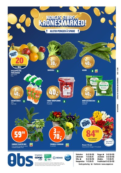 Coop Obs kundeavis i uke 2 side 22