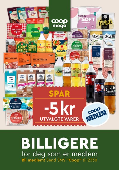 Coop Mega kundeavis i uke 20 side 31