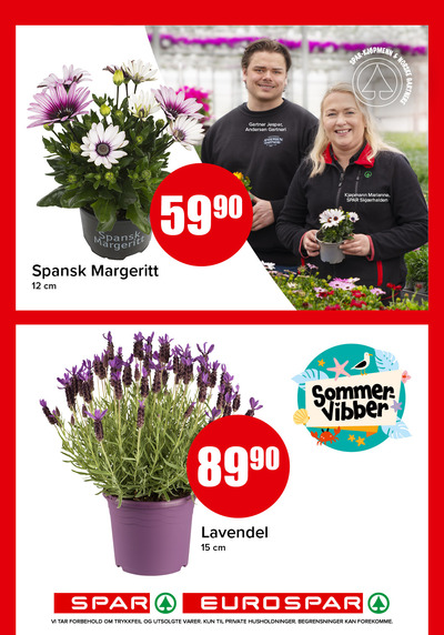 Spar - Eurospar kundeavis i uke 21 side 15