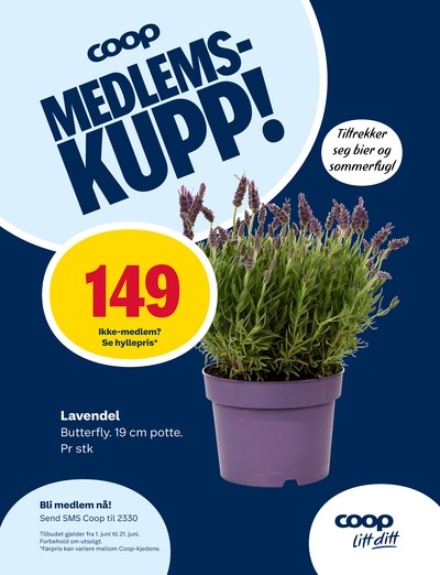 Matkroken kundeavis i uke 25 side 10