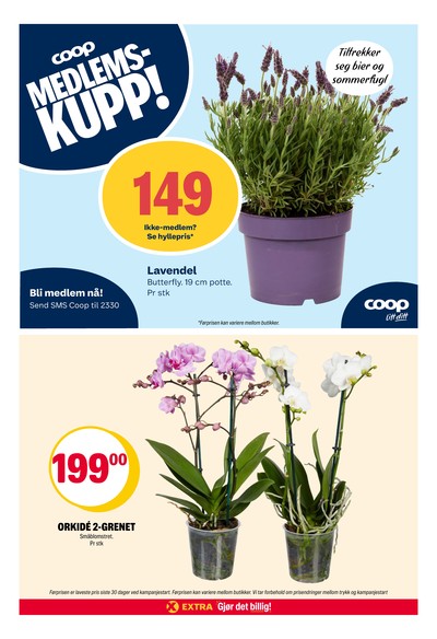 Coop Extra kundeavis i uke 25 side 33