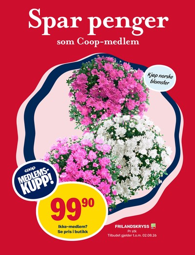 Coop Marked kundeavis i uke 28 side 11