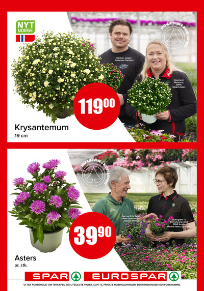 Spar - Eurospar kundeavis i uke 28 side 13