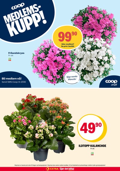 Coop Extra kundeavis i uke 29 side 33