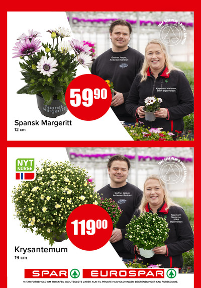 Spar - Eurospar kundeavis i uke 29 side 13
