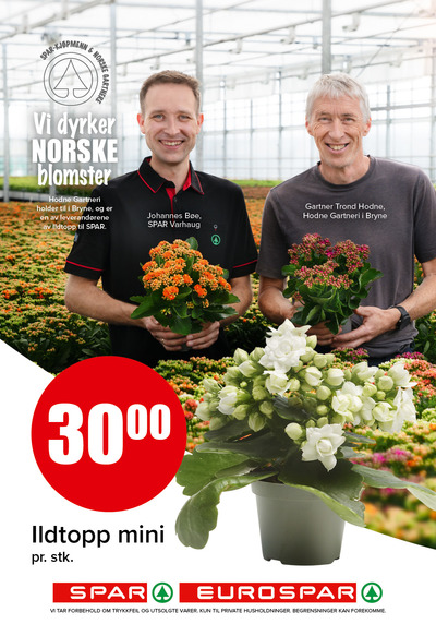 Spar - Eurospar kundeavis i uke 3 side 19