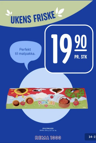 Rema 1000 kundeavis i uke 3 side 14